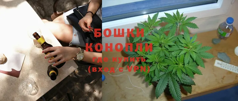 где купить   Майский  Бошки марихуана SATIVA & INDICA 